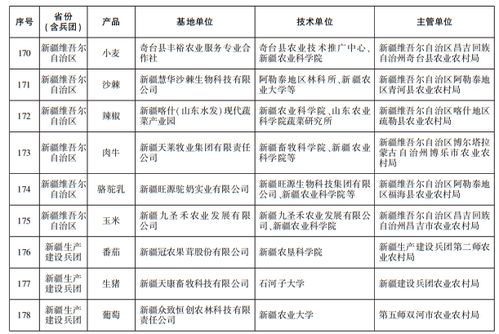 新疆及兵團(tuán)9家基地入選首批國家級網(wǎng)站建設(shè)名單